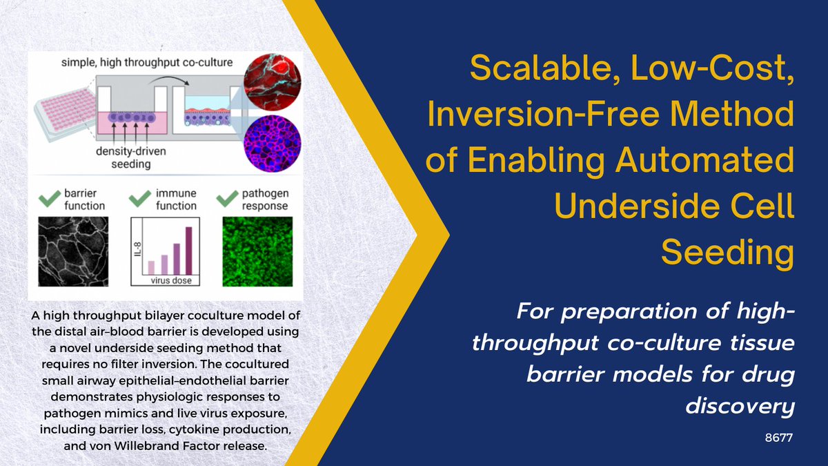 GaTechOTL's tweet photo. #AvailableForLicense: This #cellseeding method sidesteps inversion by enabling cells to float; can be used for air-blood barrier or tissue/organ models for screening &amp; #drugdiscovery. @CoulterBME @shulab_gatech @EmoryMedicine @GTResearchNews https://t.co/gOzNaVxbww https://t.co/BXILxicmGd