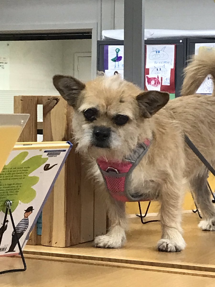 Pascale Viala tweet media