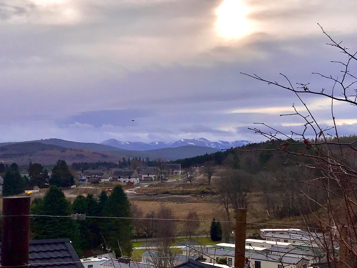 TheMackWalks's tweet photo. Today, Grantown on Spey💙 #walking #grantownonspey #strathspey #cairngorms #kylintra #dulichtbridge #davaway #moray #craiglynne https://t.co/8GE1AG8zTZ
