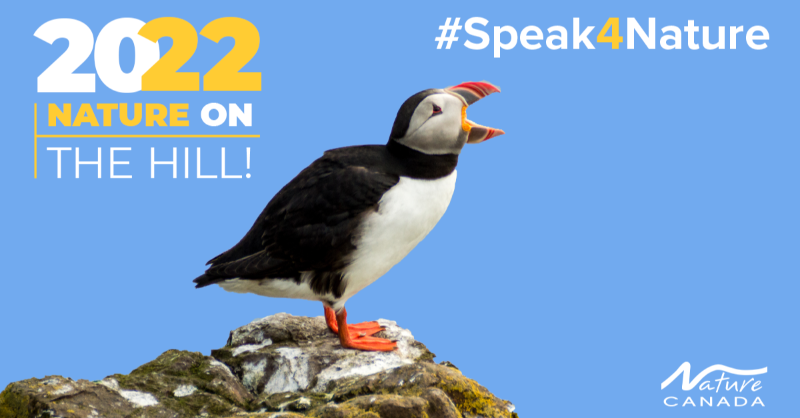 NatureCanada's tweet photo. Our government is failing #Nature — Join dozens of nature groups as we call for an action plan to halt and reverse nature loss by 2030.