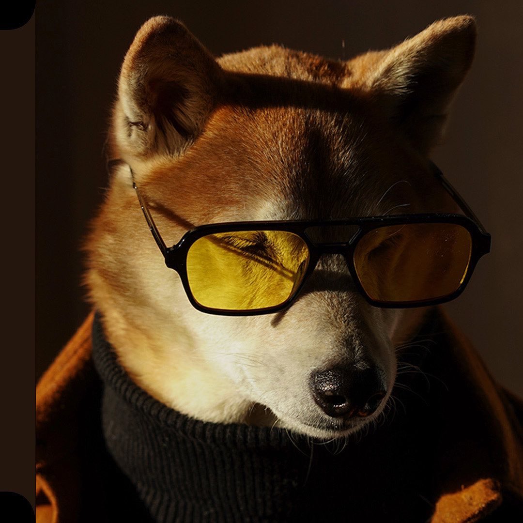 Th intern logo Menswear Dog on Twitter: "Someone told me not to pair black with brown so I  replied with this moodboard #norules #justdrip https://t.co/T6bhWnELp4" /  Twitter