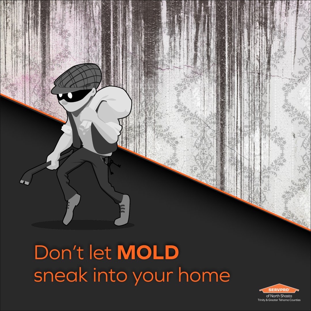 N_ShastaServpro's tweet image. Having a plan of action when a mold problem arises can make all the difference when it comes to minimizing damage and the effects on your family’s health.
#servpro #mold #moldproblem #restoration #shastacounty #redding #familyhealth #waterdamage
