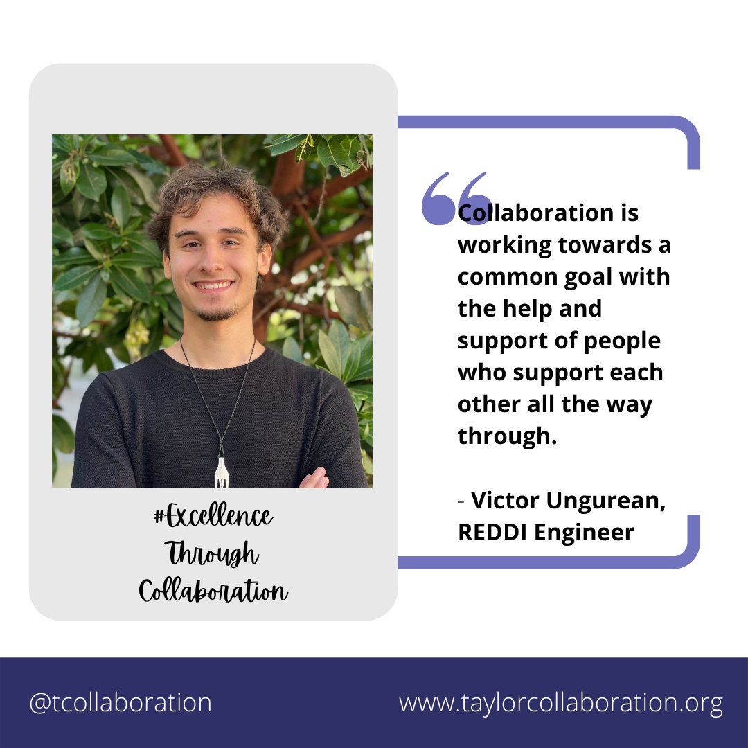 The Taylor Collaboration tweet media