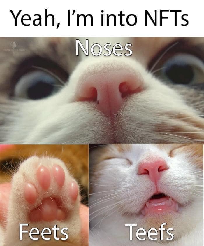 😻