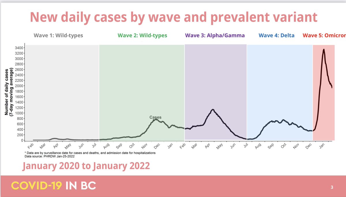 bobmackin's tweet photo. New: Dr. Bonnie Henry and @AdrianDix mark the second anniversary of the first documented case of the #coronavirus from Wuhan in B.C. Note: Statistics on the far right of the slides should have an asterisk, due to the testing/tracing collapse. #bcpoli #covid19 #BackwardsBC https://t.co/91fciT1TFh