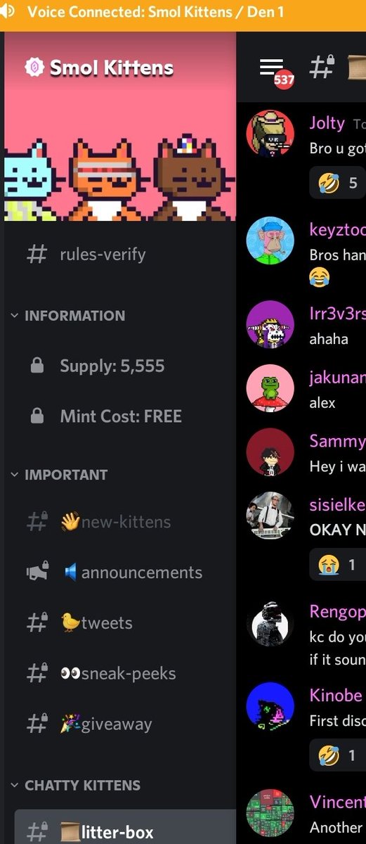 Not gonna lie funniest vc I've been in for awhile, @smolkittensnft got like 60 people meowing in vc for whitelist