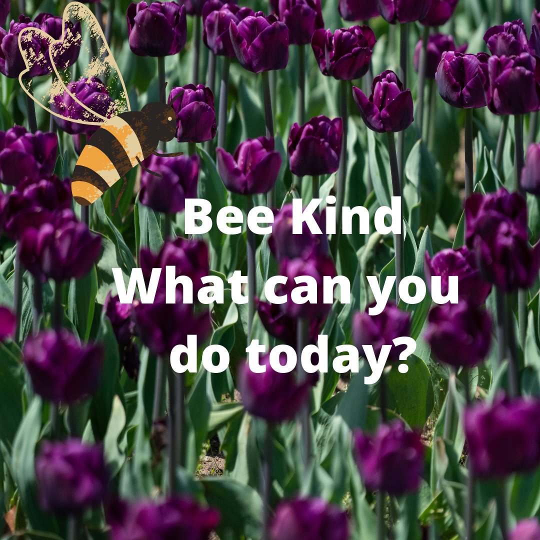 GreatRiver's tweet photo. https://t.co/fGF88waKHX #beekind #supportthebees #kindness #bees #backyardbees #beekeeping https://t.co/M0uGVkScAS