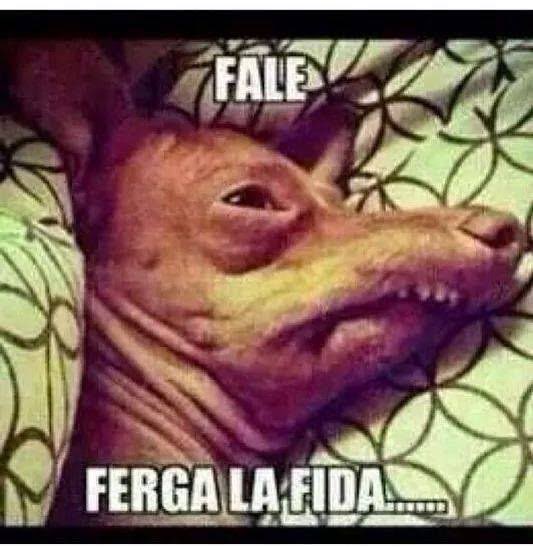 annie_palacios's tweet photo. Friday con F de Fale Ferga la Fida #fiernes #viernes #faleferga https://t.co/pXyTZDLuLl