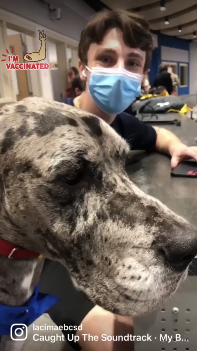 BCSD vaccine clinic total success due to kids like my buddy rolling up their sleeves and getting vaccinated !! So proud to be a BCSD EAGLE 🦅 <a href="/StoutengerCHES/">Darcy L. Stoutenger</a> <a href="/DanMannix7/">Dan Mannix</a> <a href="/tracy_manor/">Tracy Manor</a> @Dir21KLearning <a href="/BeekmantownCSD/">Beekmantown CSD</a> <a href="/PollyTavernia/">Polly Tavernia</a> @