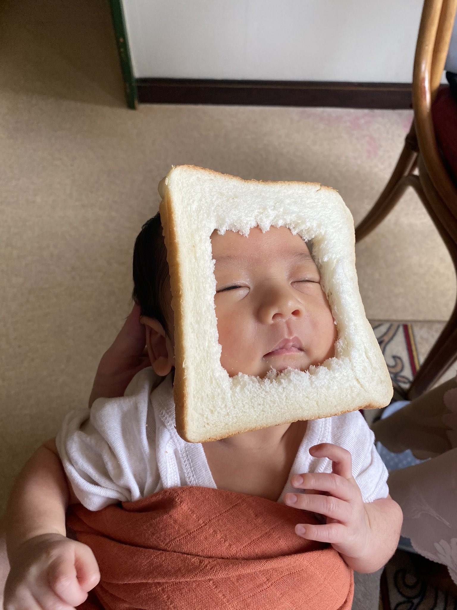 せがれの母ちゃん Segare716 Twitter