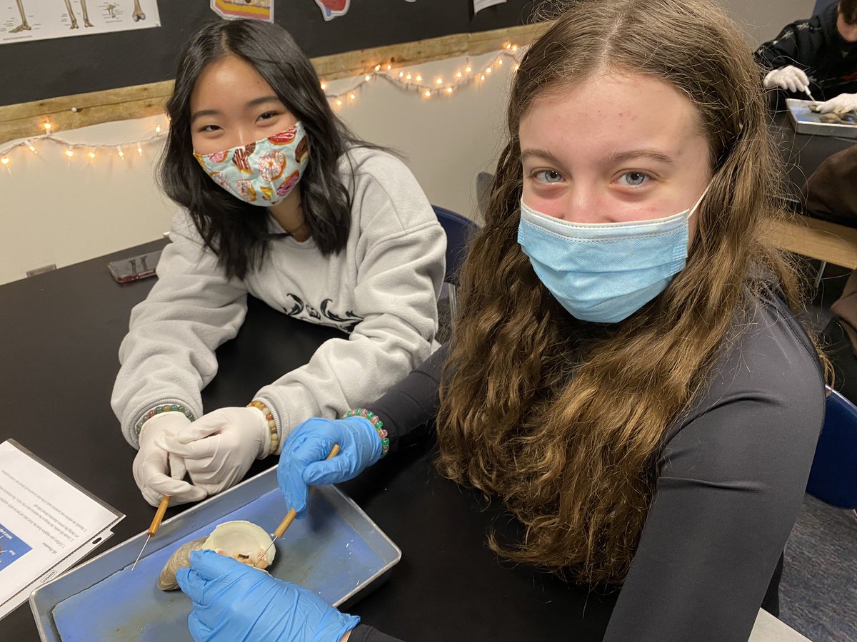 AHSGriffin's tweet photo. Highlights from our mollusc dissections this past week! 🦑 #happyasaclam #yougottabesquiddinme https://t.co/n1JLCWQdBi