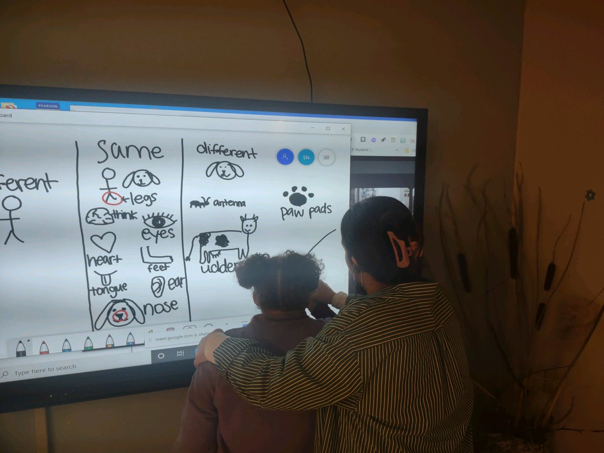 Kathleen Paolillo tweet media