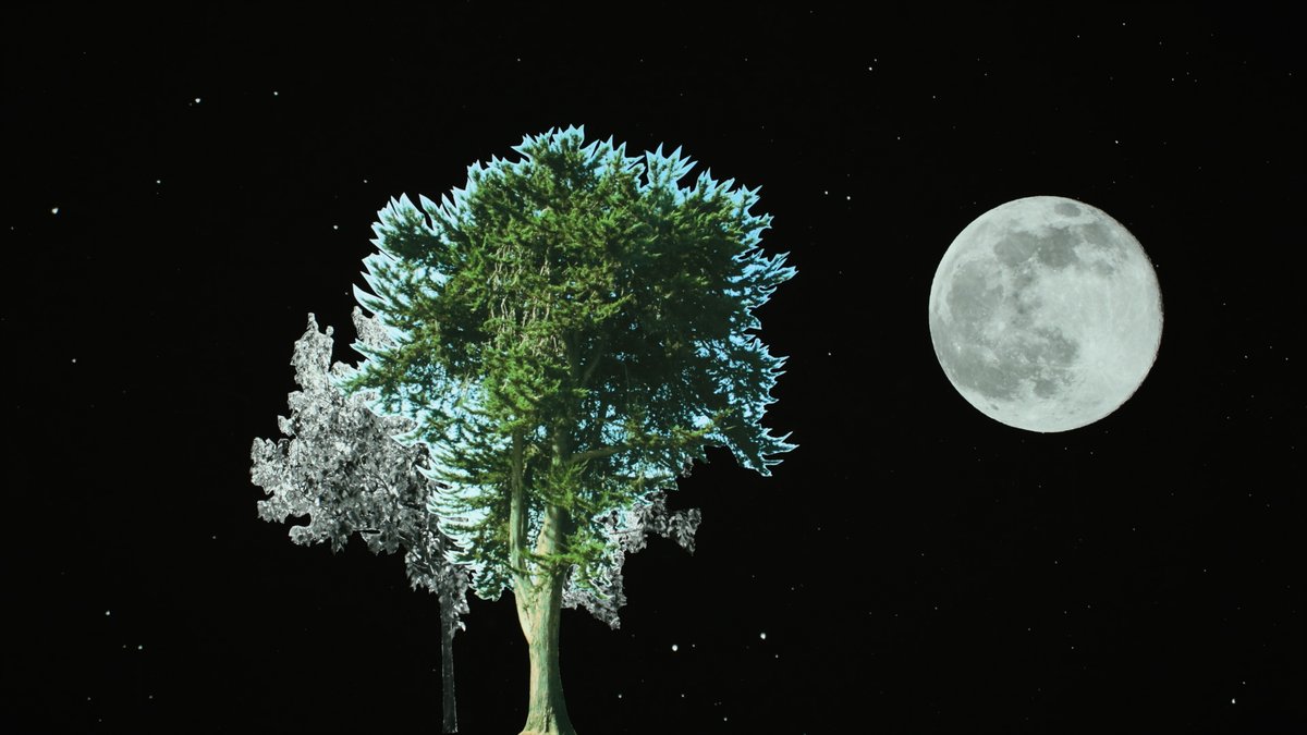 penazeisnerfilm's tweet photo. Vodník Many Years After the Rainstorm is an official selection for Crossing the Screen International Film Festival @CrossingScreen, playing online with other remarkable selections through Feb 3 on https://t.co/6gQ35OPxKS -- Thank you @CrossingScreen!

#animation https://t.co/5LYfMmd7hm