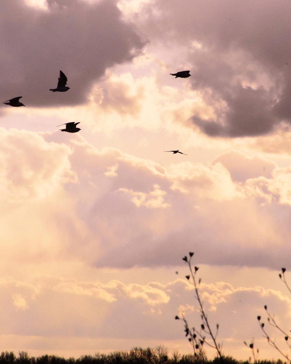 _stormjackson's tweet photo. somewhere between now and then https://t.co/6ykoa6yvWP