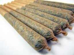 With over 25 Strains Available We Have Your Price and Pleasure Taken Care Of! #prerolls #Wholesale 💼#legalRecCannabis #Colorado ⛷🏔Great Pricing Available!💨🌳💨🌳💨🌳🤤🌳💨🌳🌳🧜🏻‍♂️🧚🏻‍♀️😳😆🏪✅✅Get In Touch Colorado!✅✅