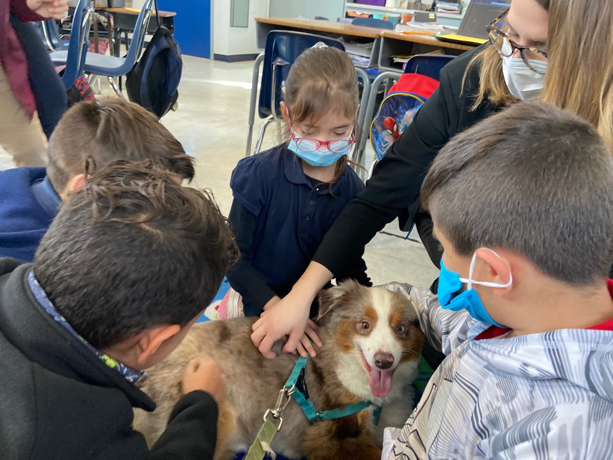Paws for literacy was a success! Dunkin loved reading with all our Mendenhall Tigers! 
#literacyweek