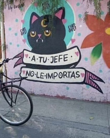 MexicoMagico's tweet photo. Que nunca se les olvide 🙌🏽 https://t.co/jJXUiip8jG