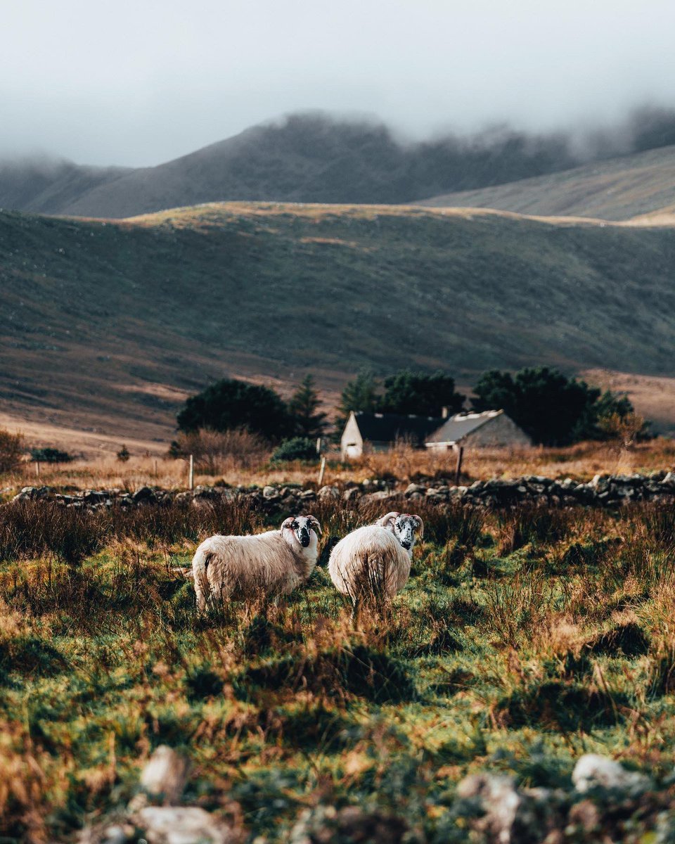 Greetings form the evergreen Island.  🍀