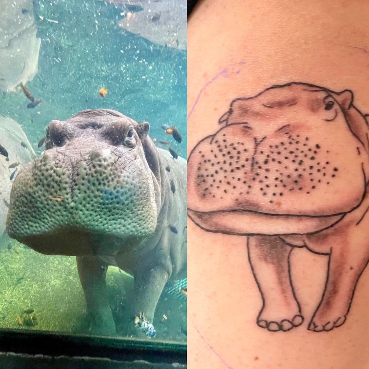 Rainy Daze Tattoos (@rainydazetattoos) · Fond Du Lac, WI · Instagram photos  and videos, image size:1200x1200