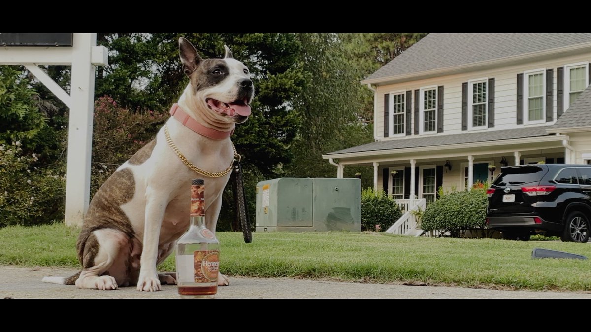 🥃 Cognac Conversations - Watch the premiere now!

mailchi.mp/1f58fcba0603/c…