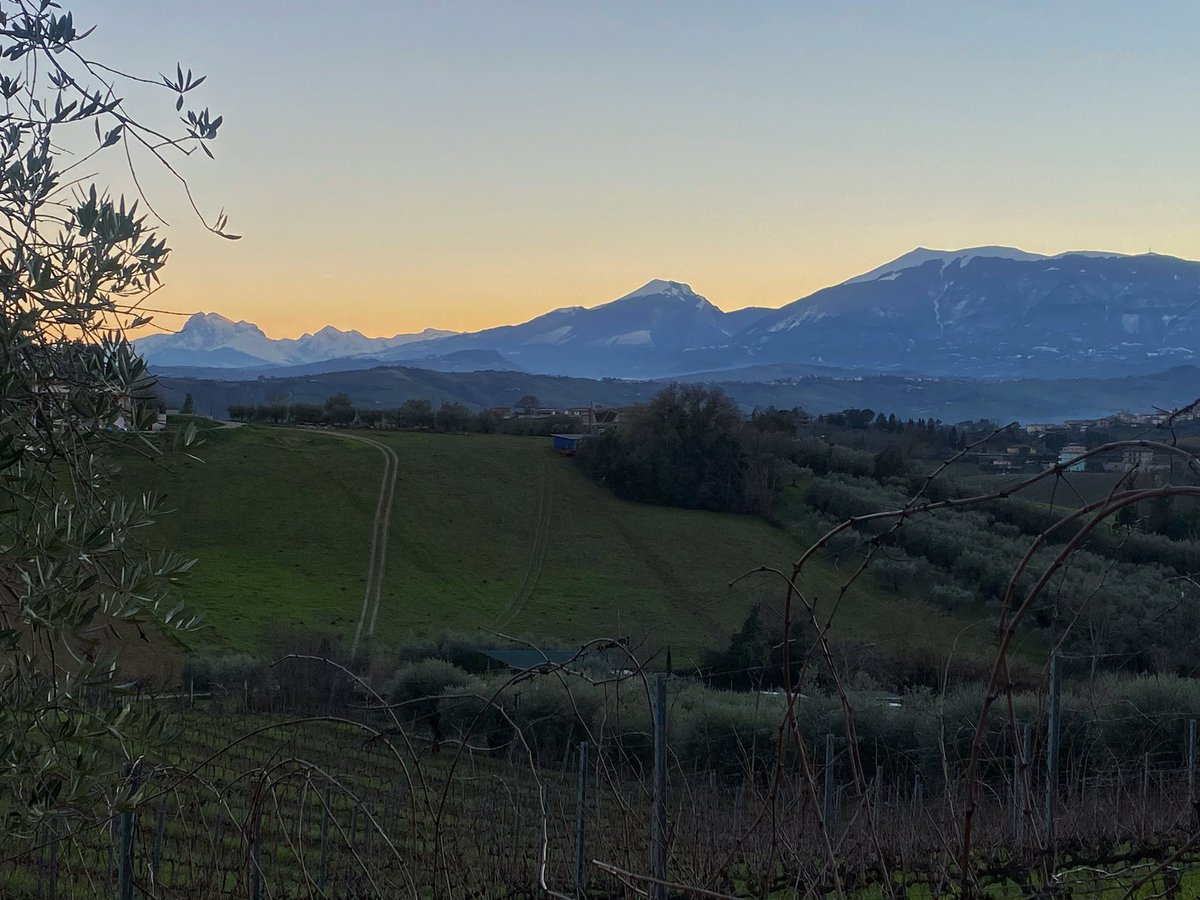#pruning #view #Skyline #vignaiolifivi #winelover