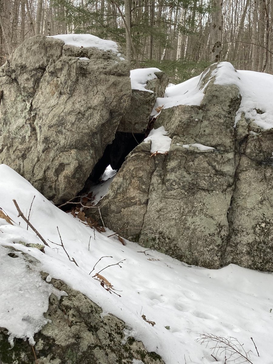 petroyberg's tweet photo. Animal Tracking started today at JRB. Dens, tracks and happy students https://t.co/07yIdFJjth