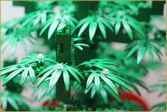 Pebish maling Forretningsmand WeedGenics on Twitter: "It's #InternationalLEGODay! Did you know that  @LEGO_Group will be switching to #hemp plastic by 2030? Yet another use for  an amazing plant! 🌱 #LegoDay #lego #Mmemberville #420life #IAmCannabis  #WeedLovers #