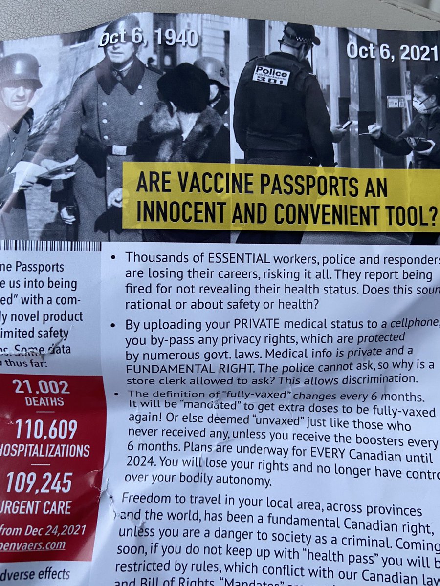 Evan Solomon tweet media