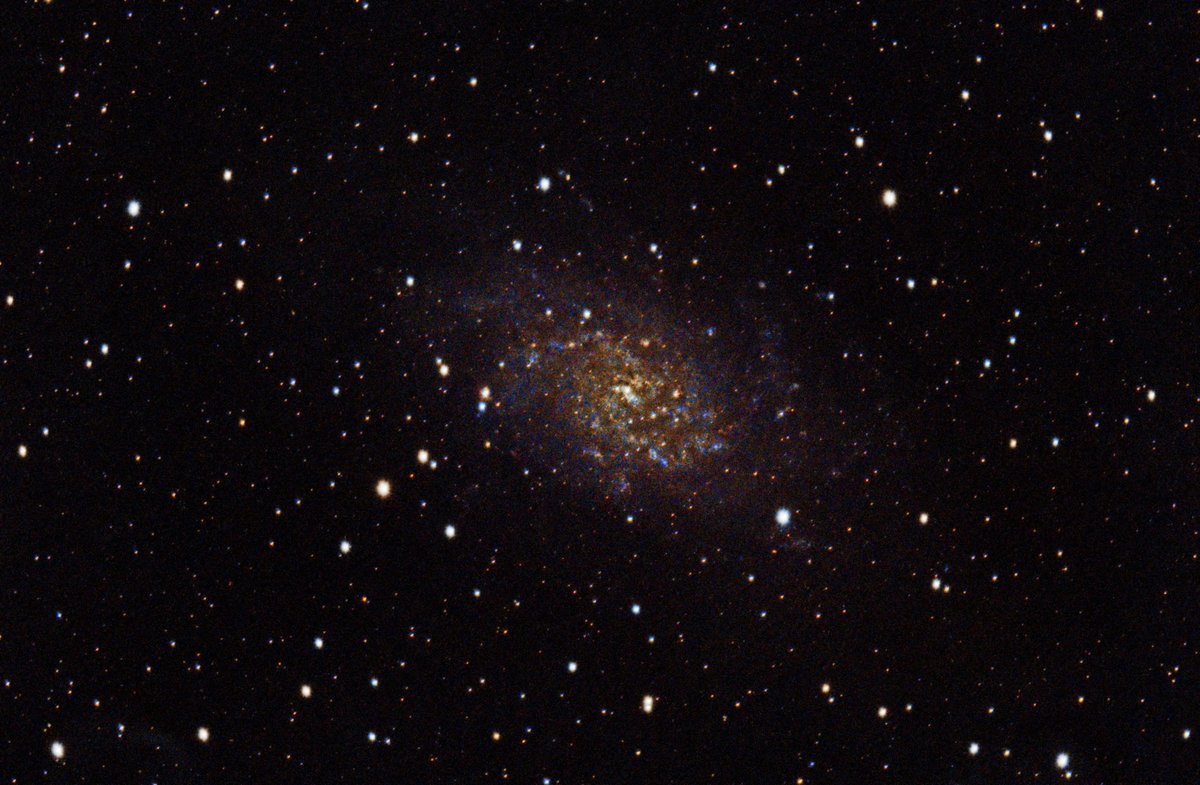 MonikaW_agner's tweet photo. This is the Triangulum Galaxy, 2.7 million light-years away! I had to stop imaging after 1h due to a massive cloud invasion, so I lost a lot of brightness and stars. Still came out better than expected! #Astrophotograhy 
430 mm refractor
Cooled color camera
Exposure 80s, gain 130 https://t.co/Ihz38KbnBN