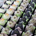 何これカワイイ!色んな種類のネコちゃんの和菓子がいっぱい!