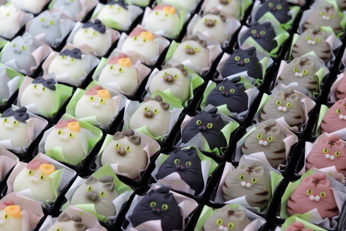 何これカワイイ！！色んな種類のネコちゃんの和菓子がいっぱい！！