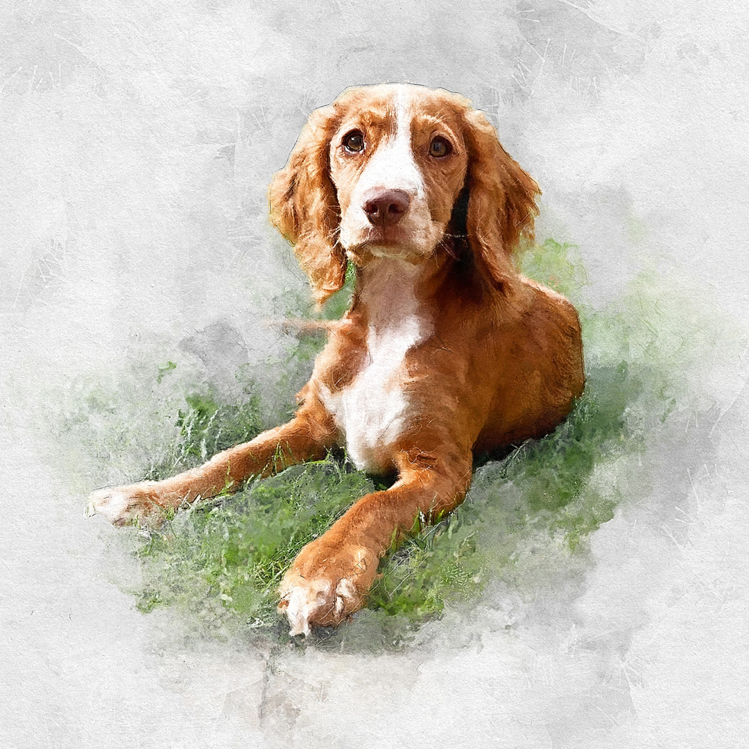 createdbymagic's tweet image. Who else here LOVES Dogs!?🐶

We can not get enough of them, which is why we Love creating beautiful watercolour PRINTS of your pooches. 🐶
Come and look at some of our work and give yourselves some #GiftInspiration while your there!😍

ow.ly/OyeV50HCp9R
#DogHour