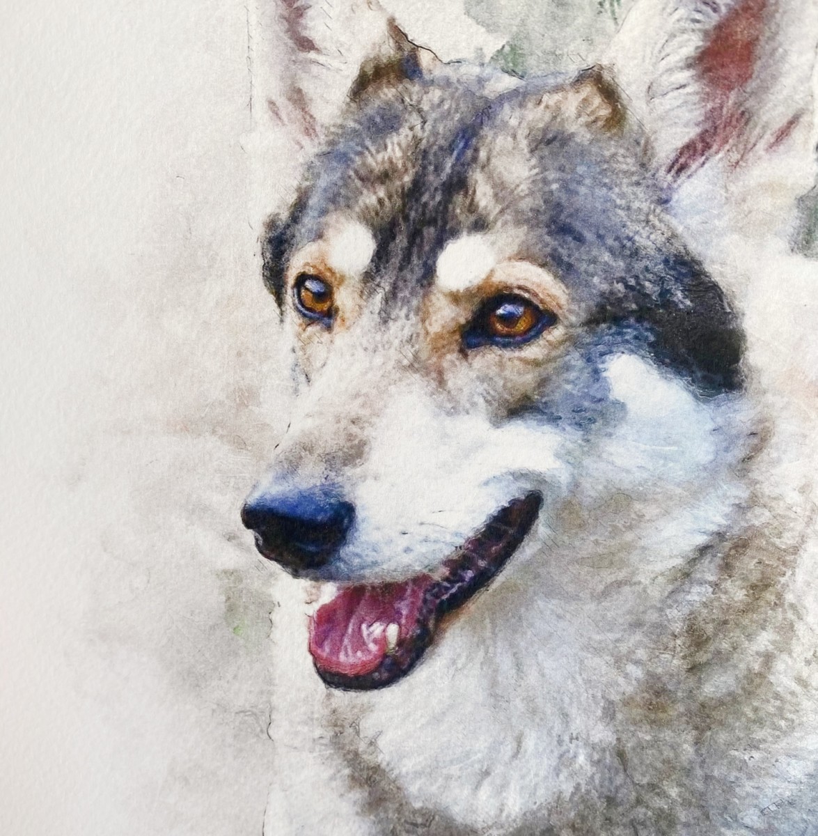 createdbymagic's tweet image. Who else here LOVES Dogs!?🐶

We can not get enough of them, which is why we Love creating beautiful watercolour PRINTS of your pooches. 🐶
Come and look at some of our work and give yourselves some #GiftInspiration while your there!😍

ow.ly/OyeV50HCp9R
#DogHour