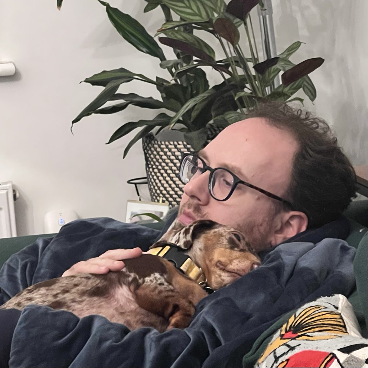 shemadeituk's tweet photo. These are my two favourite fellas #PuppyLove #ForeverHome #Dachshund #Instadog #SausageDog #SausagesOfInstagram #Chimichanga #sausage #daxie #doggo #dogstagram #TrueLove https://t.co/DaKnjvC7su