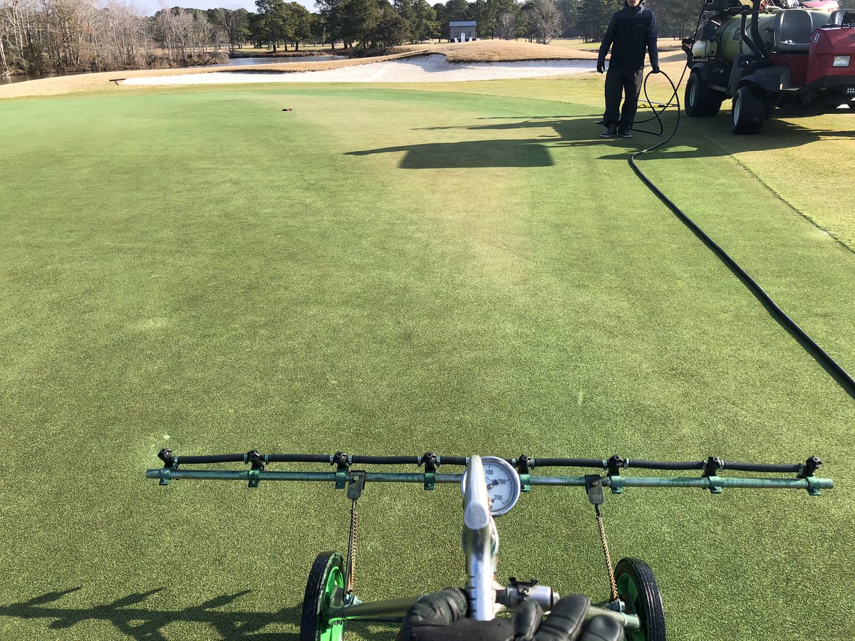 Spray hawk app of Lumen lux and revolver/MSO to clean up some poa.