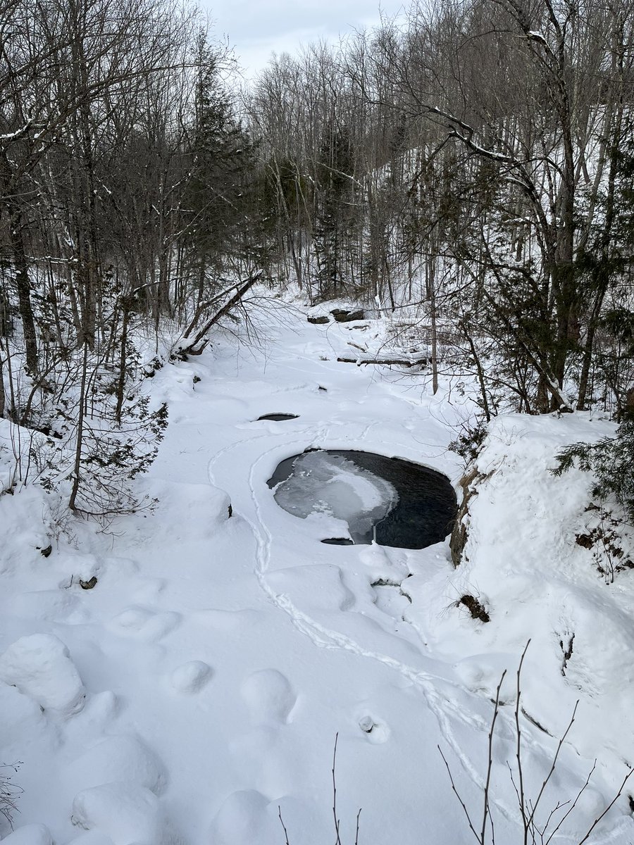 DerekBCounts's tweet photo. Some #VermontViews to cleanse the tl https://t.co/WQIx9xTurw