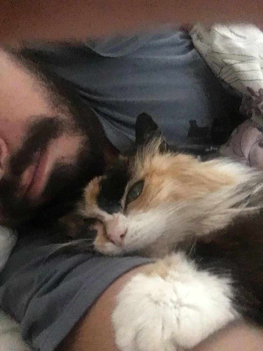 FoohonPie's tweet photo. 2 years ago today Grazilda said goodbye, but we still think of her often and laugh about her antics.  Our "Baba" was one of a kind, and one tough kitty!  Make sure to appreciate your pets today, and every day. 😺 https://t.co/qZjQECWdt6