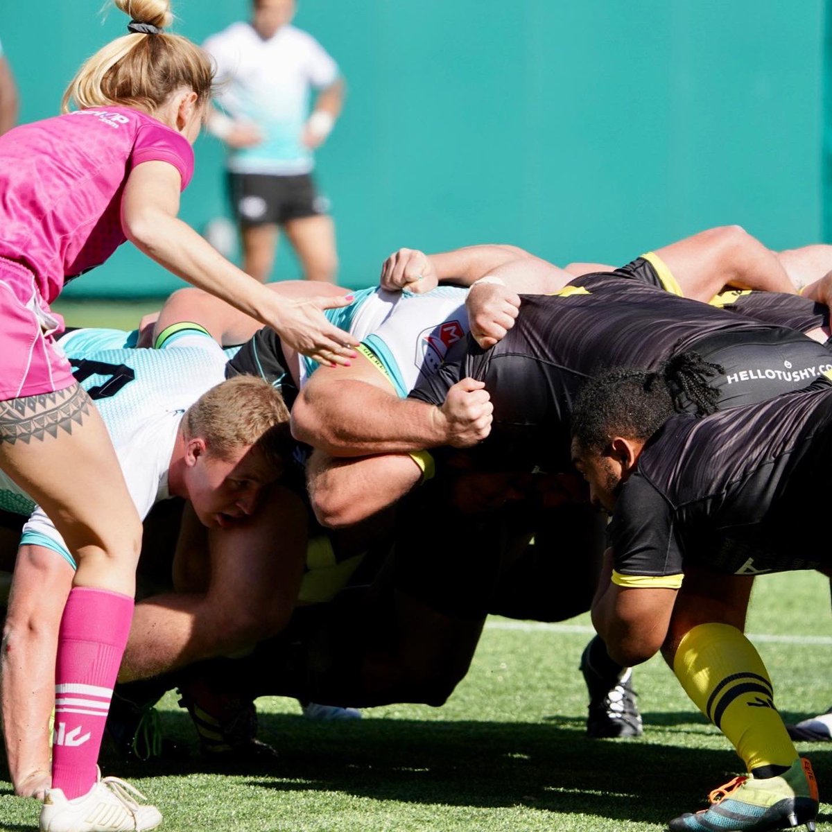 Dallas Jackals tweet media