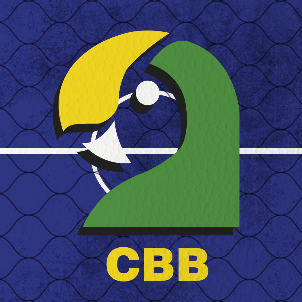 CBB - BRASFOOT tweet media