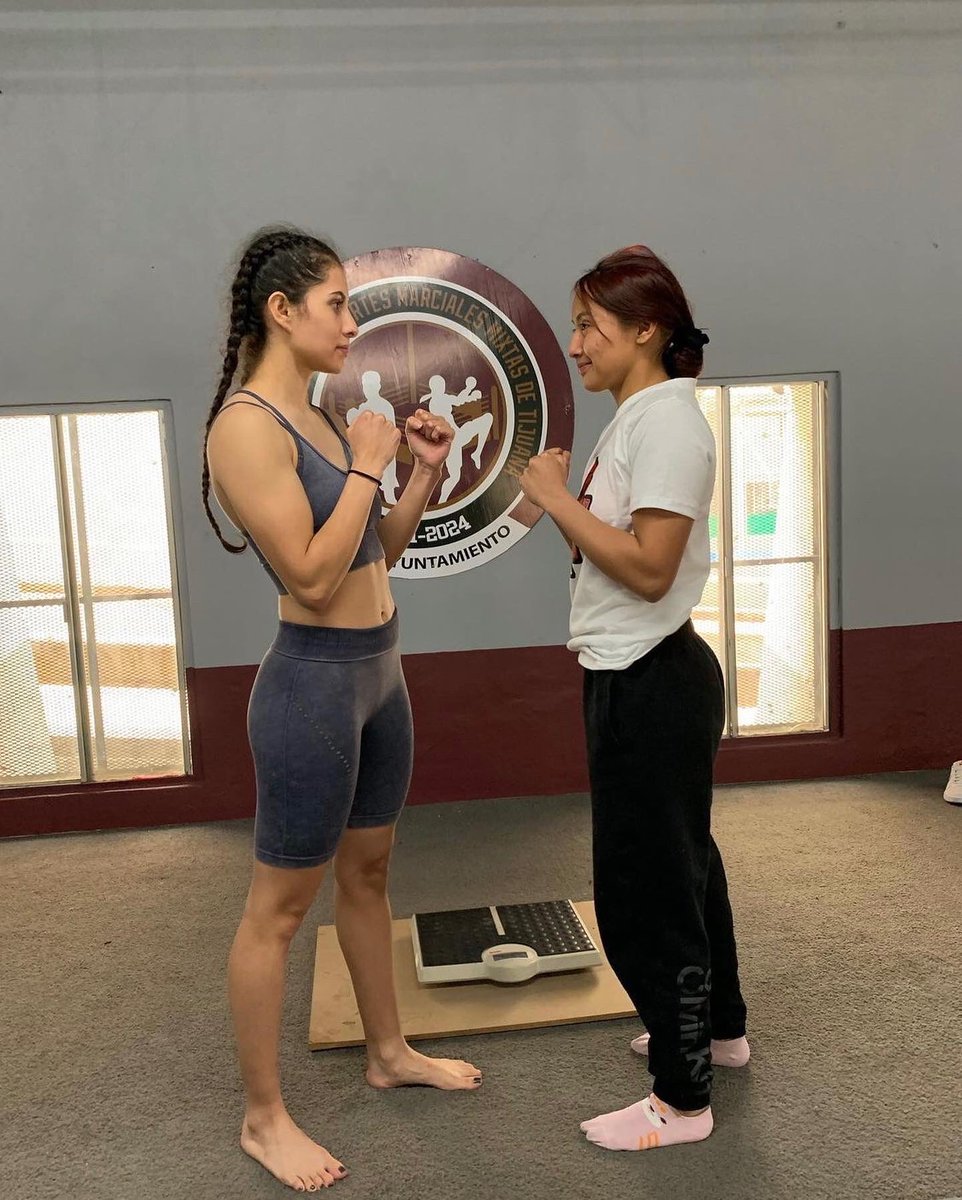 mastermitter's tweet photo. Itโs almost that time. Weighins are over! @Yadira682 @La_Bruquena @abeltranbarajas are ready to put a show on tomorrow night. Make sure you tune in ๐ฅ. #MobBoxing #gilmartinezboxing #mmfchamps #ProudCoach #WBC #WBA #WBO #ibf #Mexico https://t.co/ORYeMrjPIl