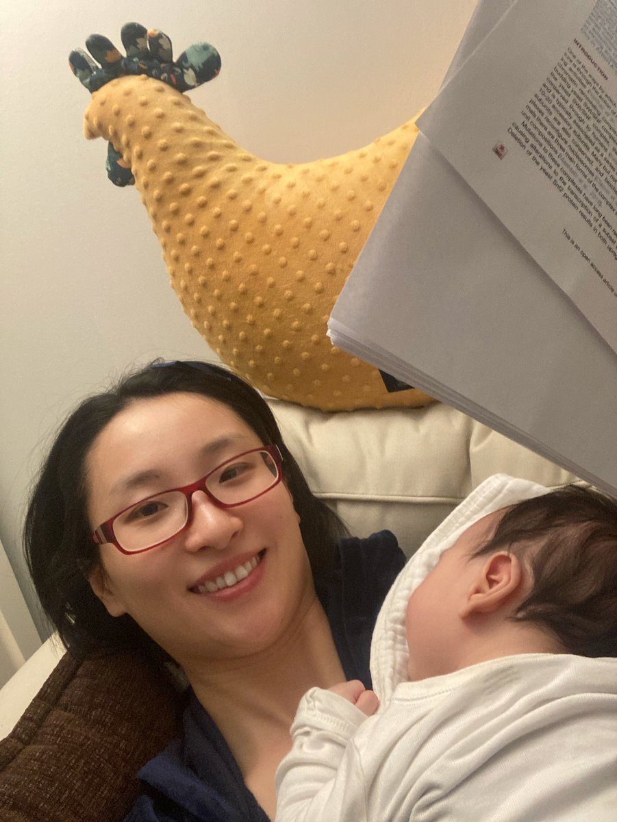YuanLin0121's tweet photo. When the baby only wants to sleep like this way and I have to find a time to read a paper 😂😂 https://t.co/VGculaBXY3