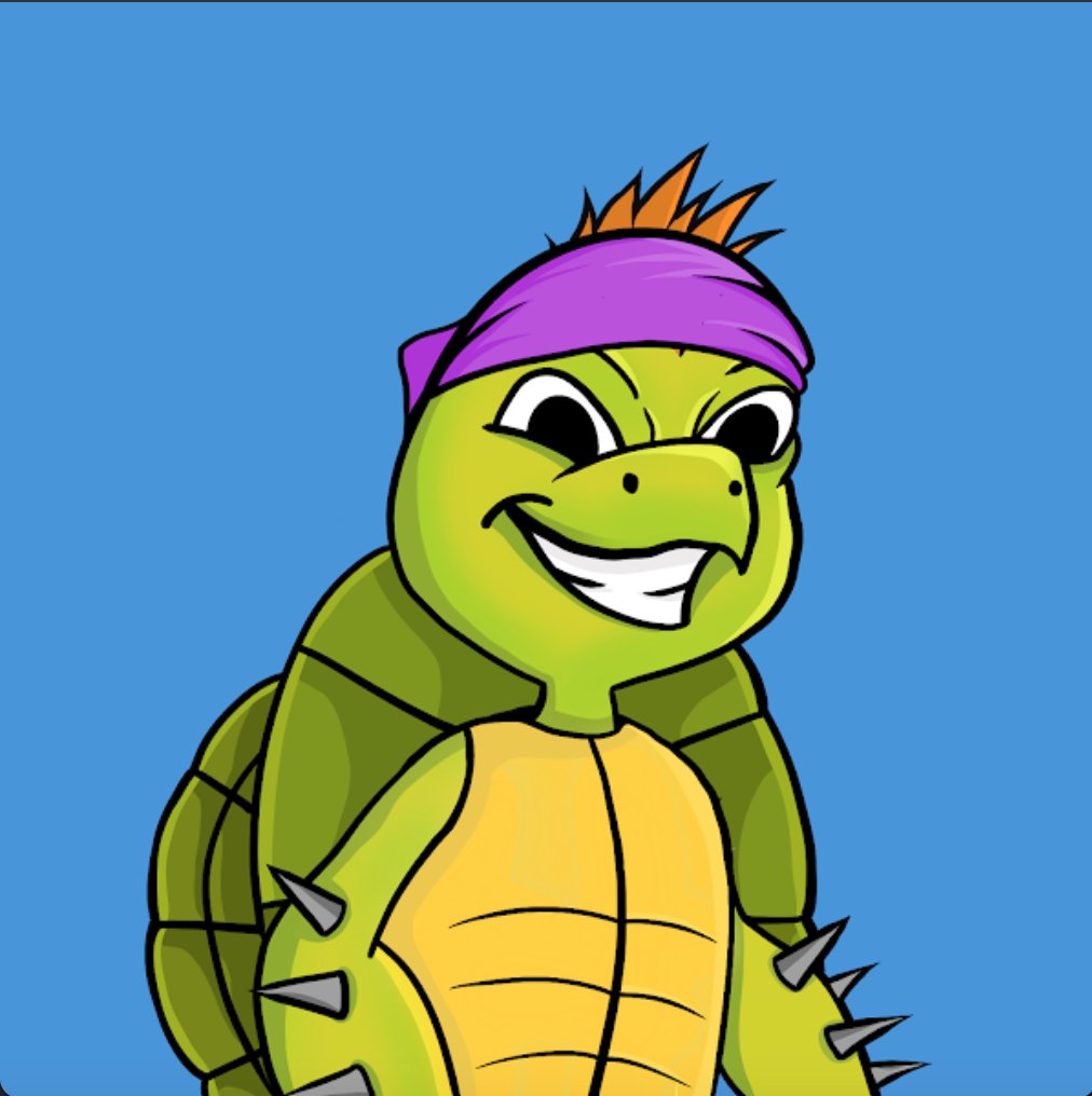 TurtleHeadNFT1's tweet photo. WE'RE LIVE

Minting NOW
https://t.co/W6lubmtoWr

Our first 100 Turtle Head NFTs are now available on #OpenSea. With so many combinations you are guaranteed to have a unique one #NFT

#NFTCommunity #NFTdrop https://t.co/HTOK7dDjPy