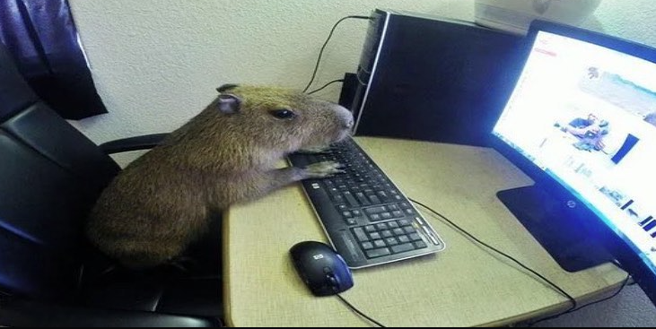 THE WEEKEND = GAMERTIME 😎😤

What the capybara playin tho? 😳👀