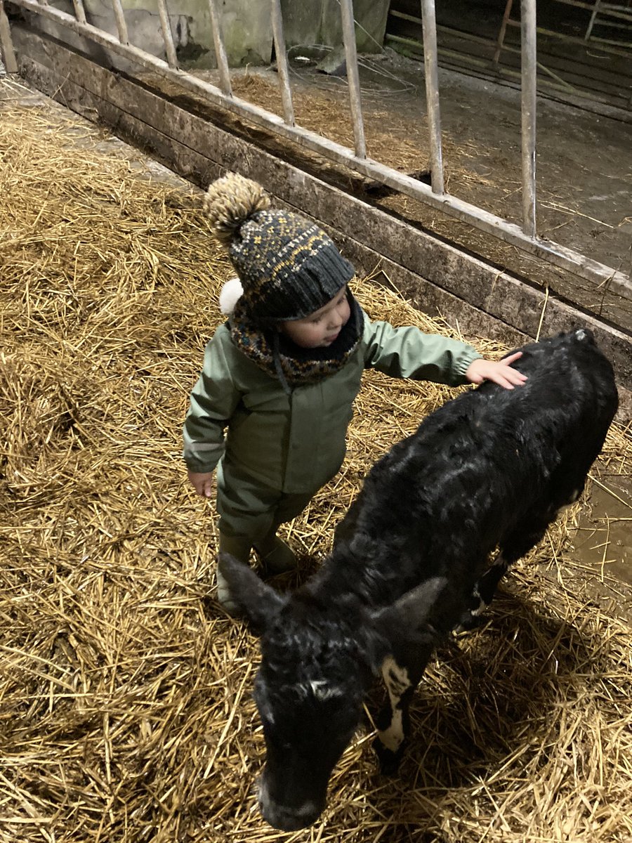 Séimí with the first FR heifer of 2022
