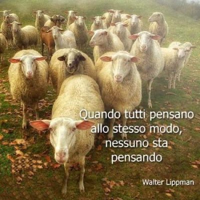 PgLamon's tweet photo. #NuovaFotoProfilo https://t.co/Is6PQJZZLr