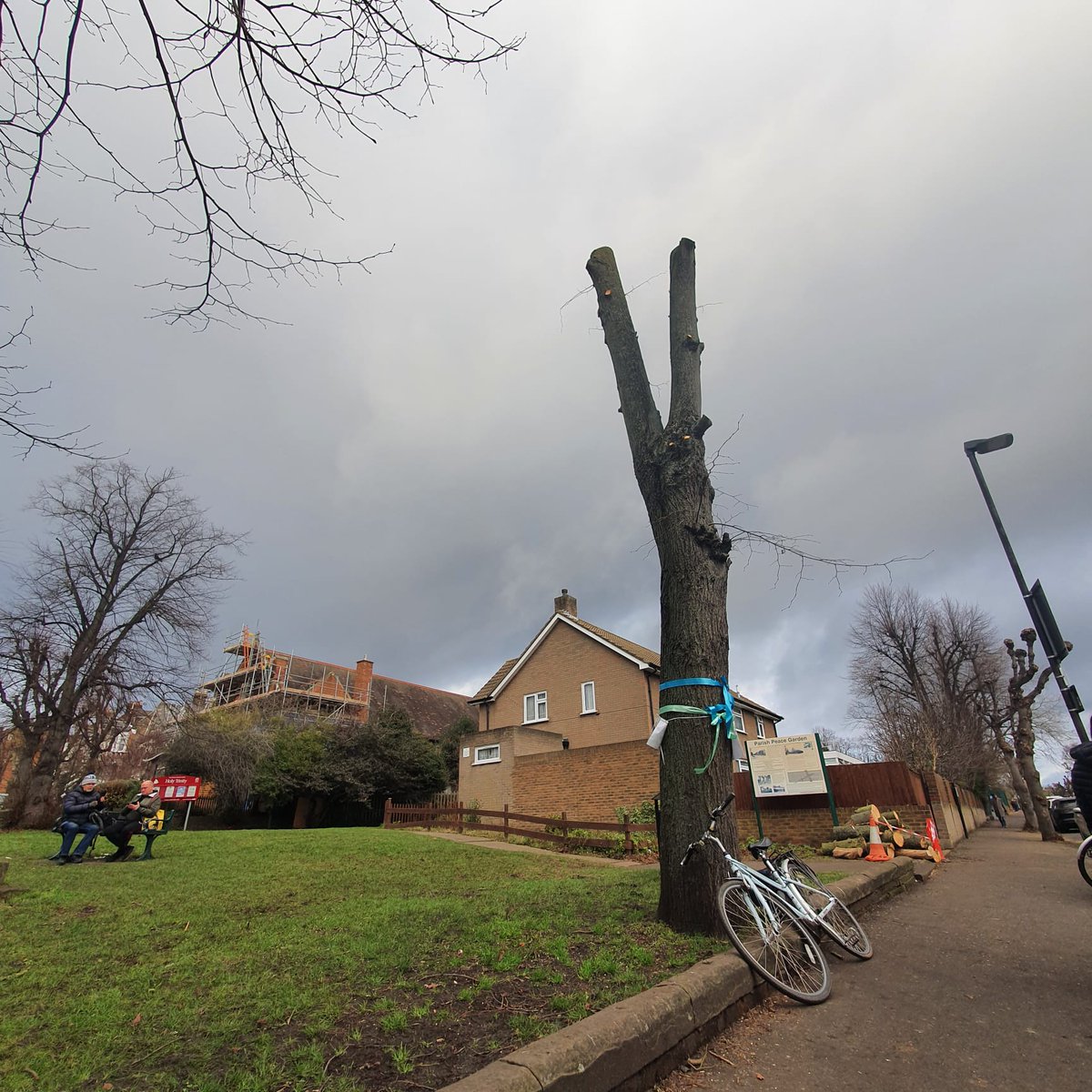 JustPlaneNews's tweet photo. Yesterday @haringeycouncil 's tree dept mistakenly chopped this 100 year old Peace Garden Lime tree in half and were into a complete felling job when we arrived. @mikehakata are you happy with the way your trees team is working? Residents don't agree. @N4NPForum @SHIFTHaringey https://t.co/LCg8mo7Mx3
