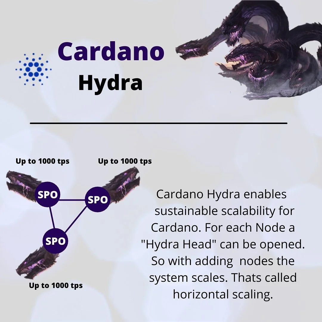 Hydra is the scaling solution that will eventually take us to millions of TPS on #Cardano. The initial version is coming sooner than expected. 

From the recent IOHK monthly update:

“The June hardfork is going to be our initial release of hydra."

Retweet to let the people know!