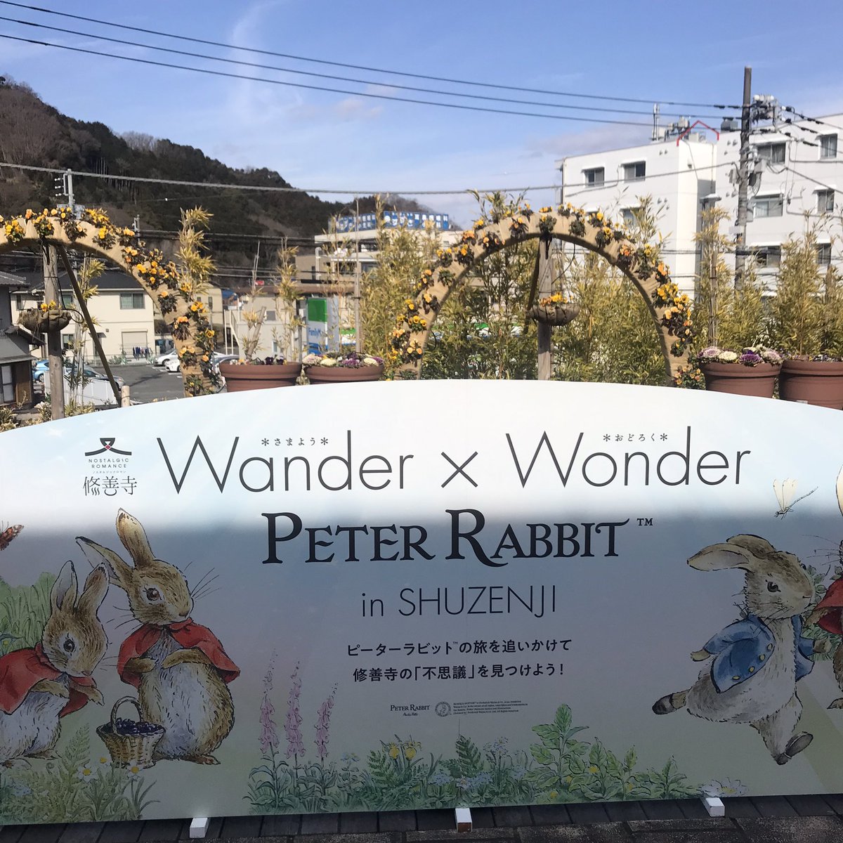 hararappa's tweet image. 修善寺まで来てしまったけど、沼津で用事があるので次の列車で戻ります…昼過ぎ再開です。
#のってこいずっぱこ