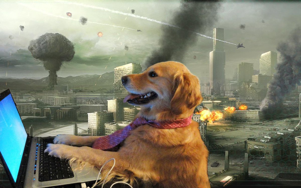 caseydoge's tweet photo. actual photo of doge peeps chillin in the midst of other virtual/crypto communities

#doge #dogecoin $DOGE #DoOnlyGoodEveryday #hairy https://t.co/oYgBAVXJVY