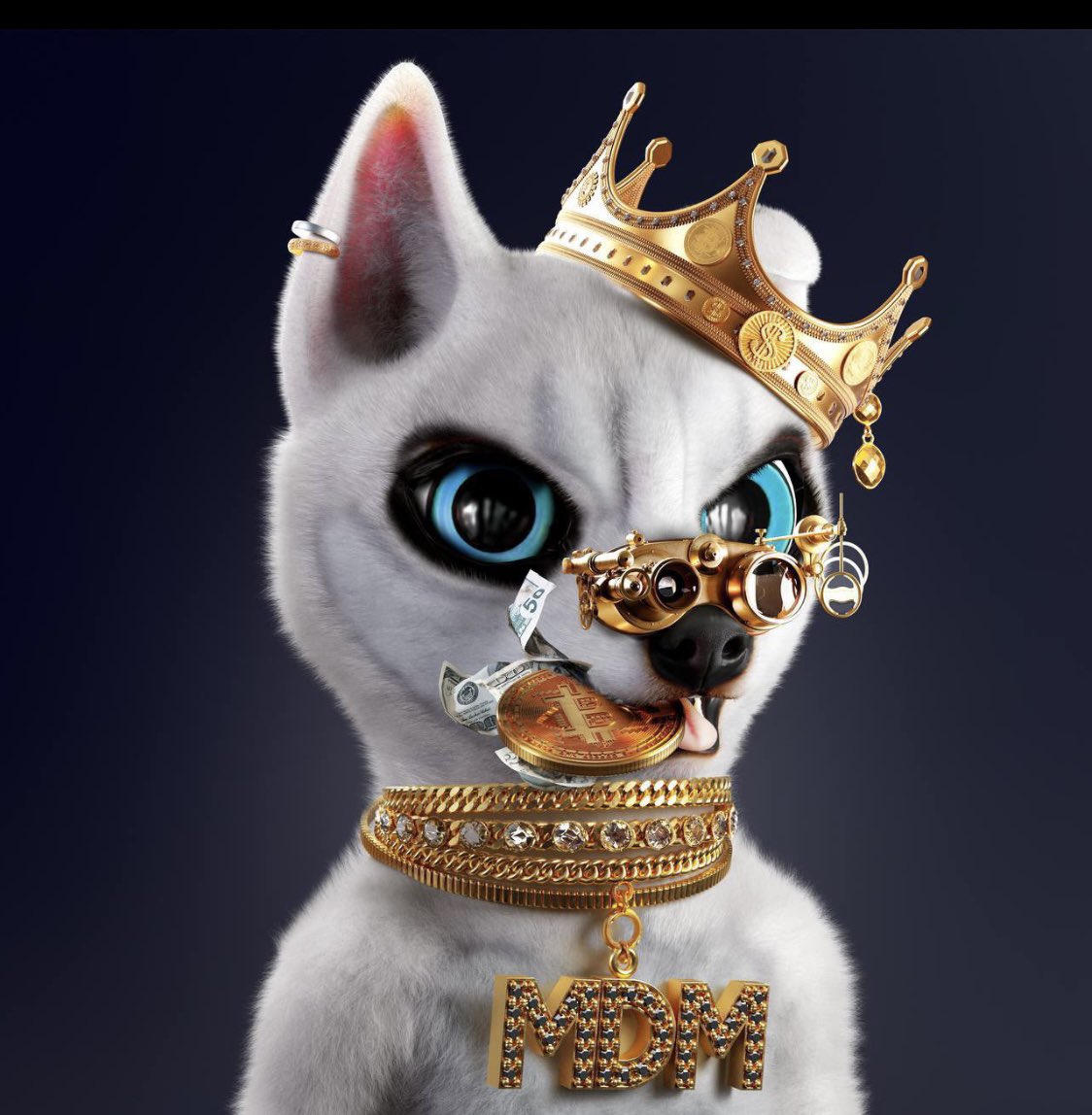 _NoLimitKado_'s tweet photo. @BellatorNft Take a look at @Executivehusky1 they just released females with breeding capabilities, will soon be in the metaverse. There’s also utilities such as mansion and yacht parties and networking events! This project is going to go crazy you don’t wanna miss out💯🚀 #huskynation https://t.co/qFGAgy2k2r